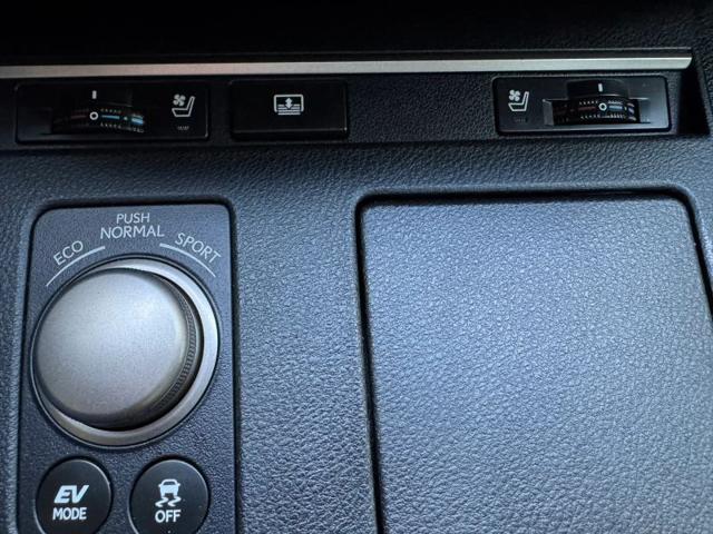 2014 Lexus ES 300h 300h