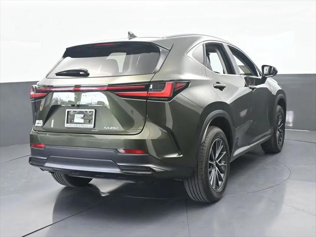 2025 Lexus NX NX 250