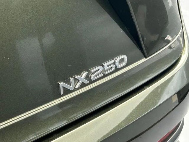 2025 Lexus NX NX 250