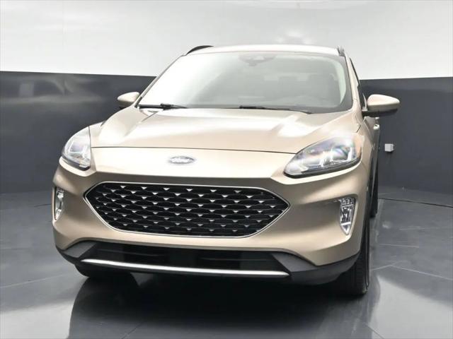 2020 Ford Escape SEL for sale in Somerset, KY