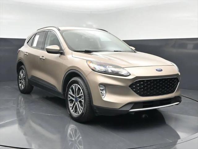 2020 Ford Escape SEL for sale in Somerset, KY
