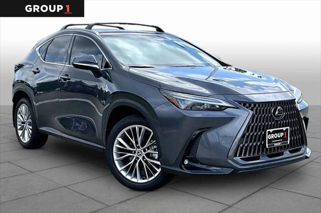 2025 Lexus NX 350 Premium