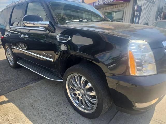 2011 Cadillac Escalade Standard