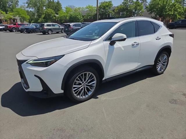 2024 Lexus NX 350 Luxury