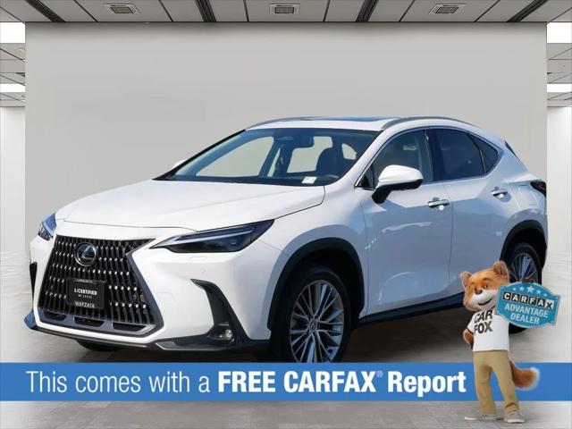 2024 Lexus NX 350 Luxury