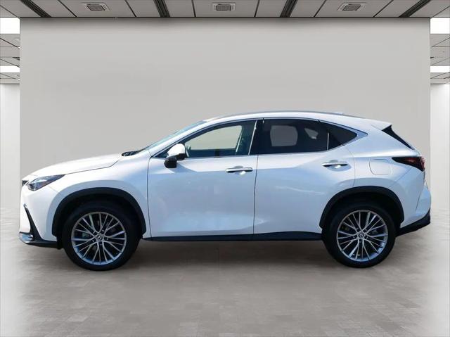 2024 Lexus NX 350 Luxury