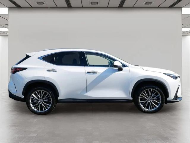 2024 Lexus NX 350 Luxury