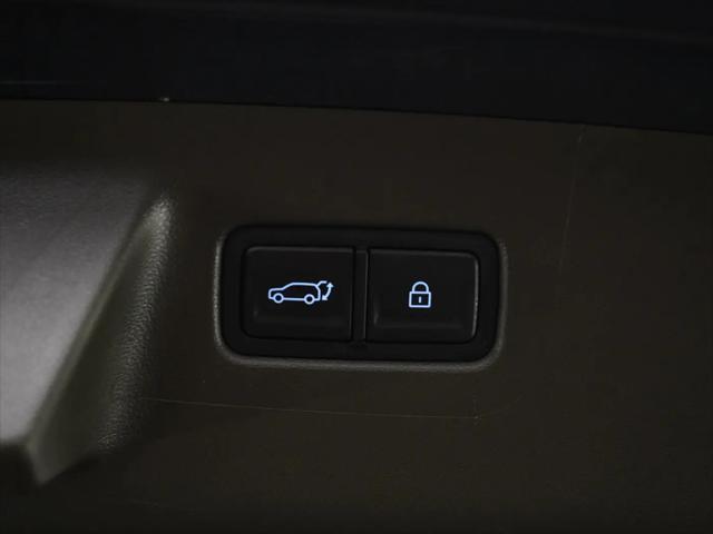 2024 Hyundai Santa Fe Hybrid Calligraphy