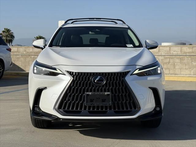 2025 Lexus NX Premium
