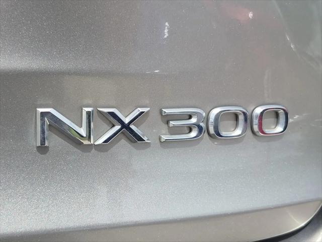 2019 Lexus NX 300 NX 300