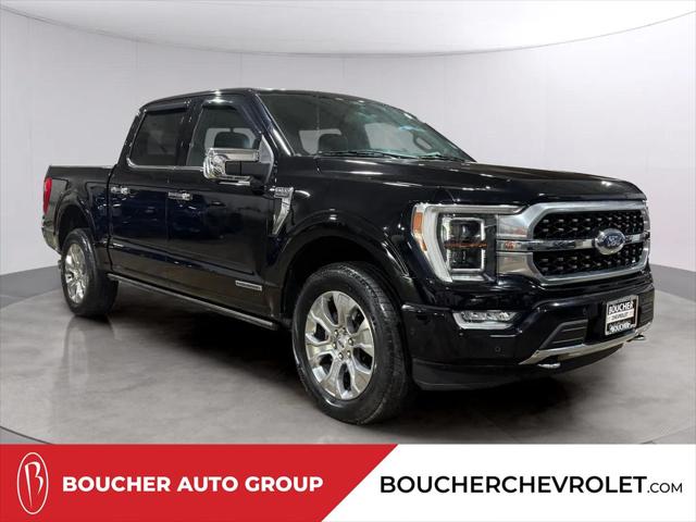 2021 Ford F-150 Platinum for sale in Waukesha, WI