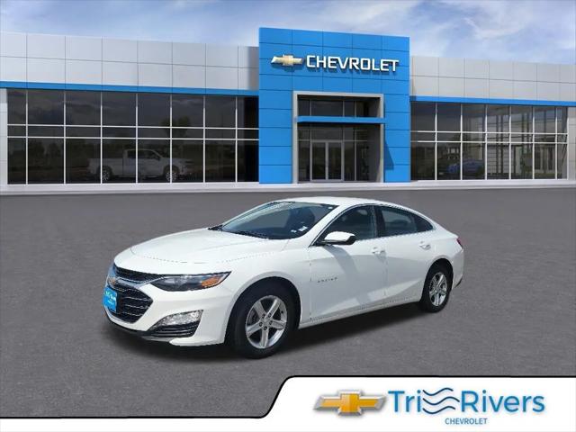 2024 Chevrolet Malibu FWD 1LT for sale in Hastings, MN