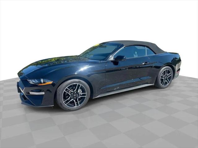 2023 Ford Mustang EcoBoost Convertible for sale in Sturgeon Bay, WI