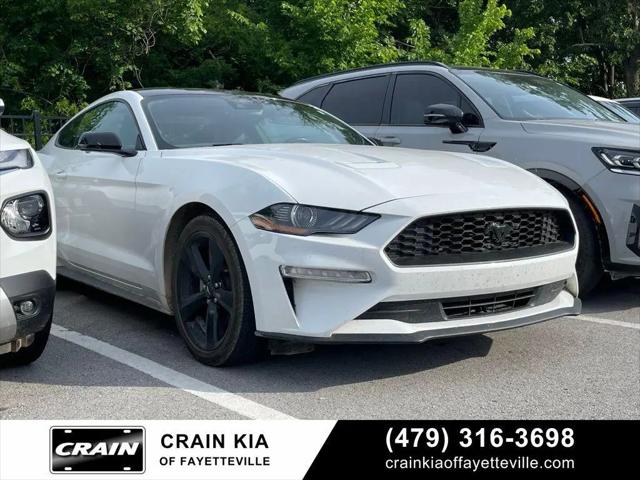 2023 Ford Mustang EcoBoost Premium Fastback for sale in Fayetteville, AR