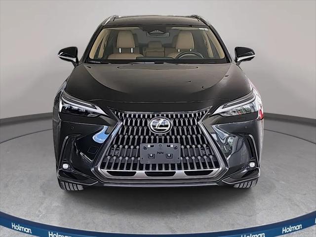 2025 Lexus NX Luxury