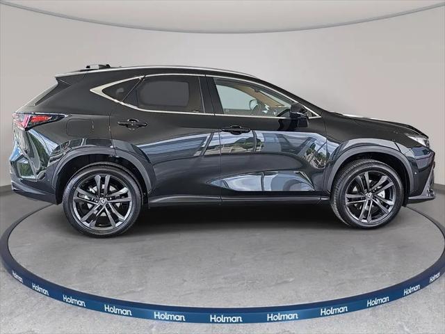 2025 Lexus NX Luxury