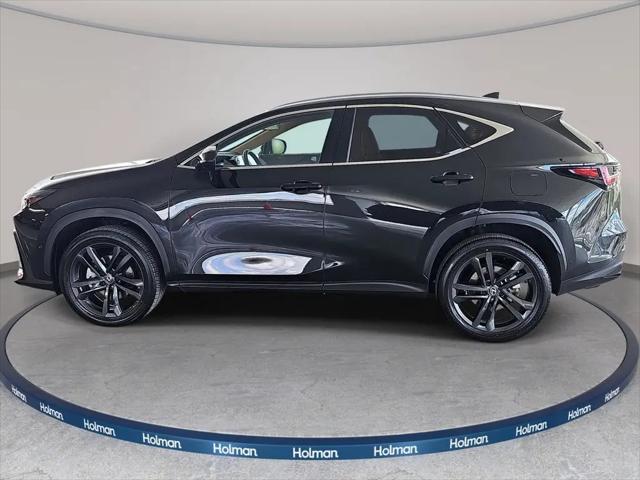 2025 Lexus NX Luxury