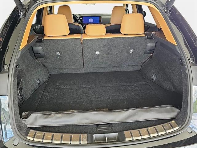 2025 Lexus NX Luxury
