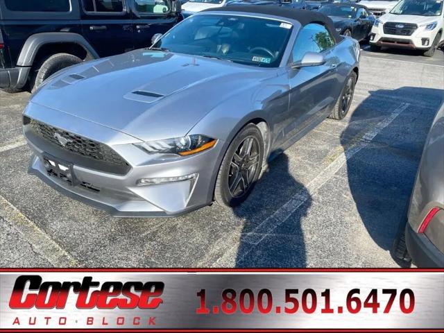 2023 Ford Mustang EcoBoost Convertible for sale in Rochester, NY