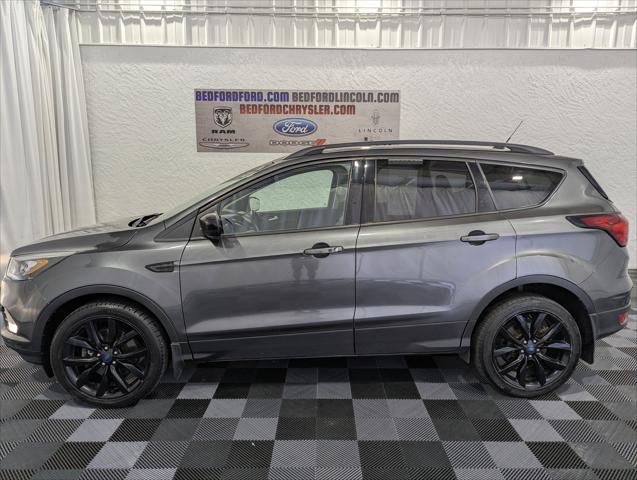 2019 Ford Escape SE 2019 Ford Escape SE