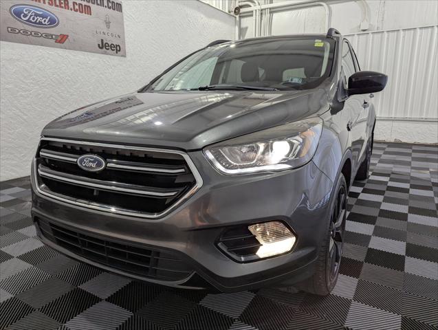 2019 Ford Escape SE 2019 Ford Escape SE