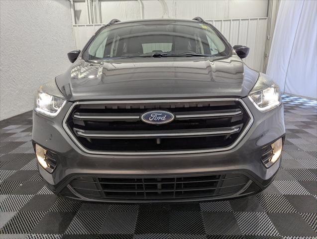 2019 Ford Escape SE 2019 Ford Escape SE