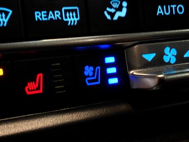 2024 Ford Expedition Limited MAX