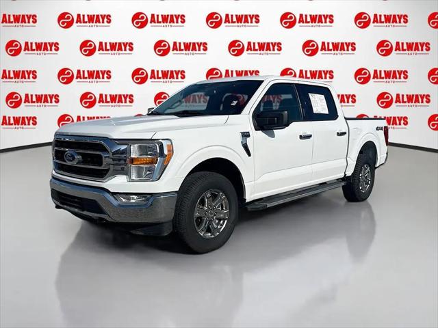 2023 Ford F-150 XLT for sale in Wichita Falls, TX