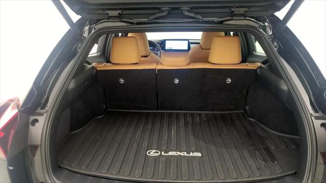 2024 Lexus UX 250h Premium