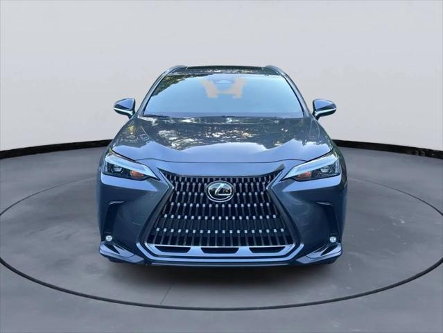 2024 Lexus NX NX 250