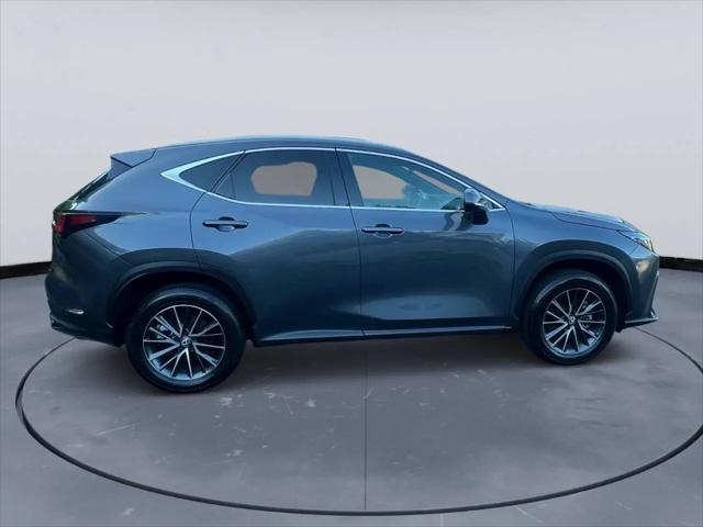 2024 Lexus NX NX 250