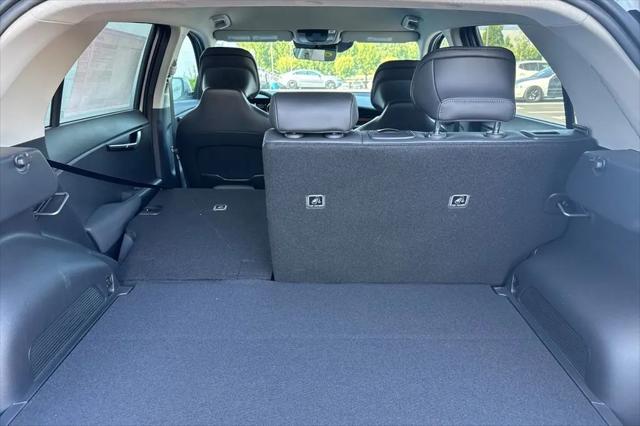 2026 Kia Niro EV Wind