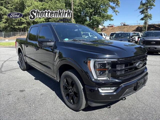 2023 Ford F-150 Platinum for sale in Jasper, GA