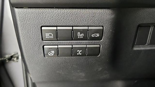2019 Lexus NX 300 F SPORT