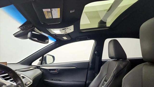 2019 Lexus NX 300 F SPORT