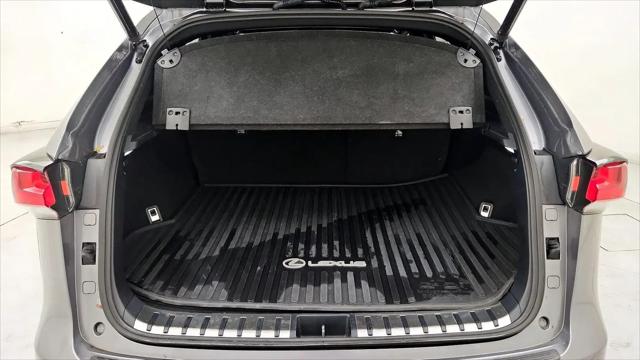 2019 Lexus NX 300 F SPORT