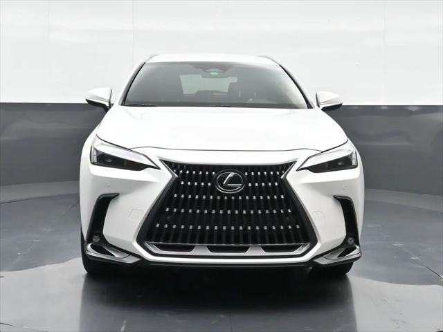 2025 Lexus NX NX 250
