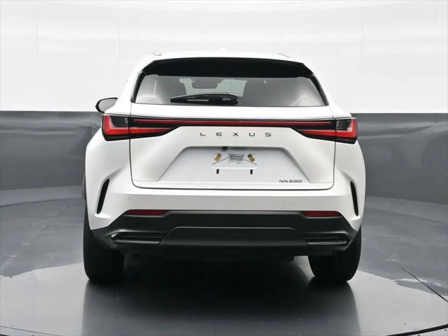 2025 Lexus NX NX 250
