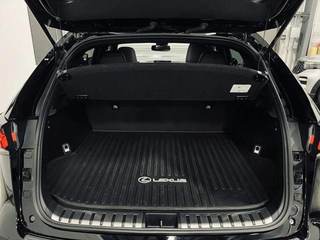 2021 Lexus NX 300 F SPORT