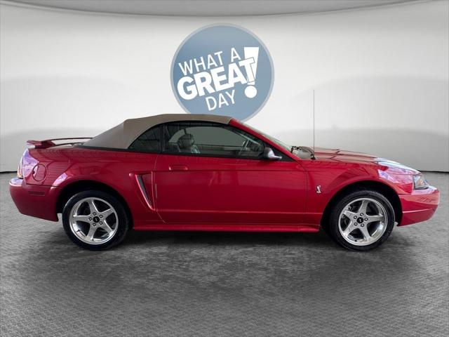 2001 Ford Mustang Cobra 2001 Ford Mustang Cobra