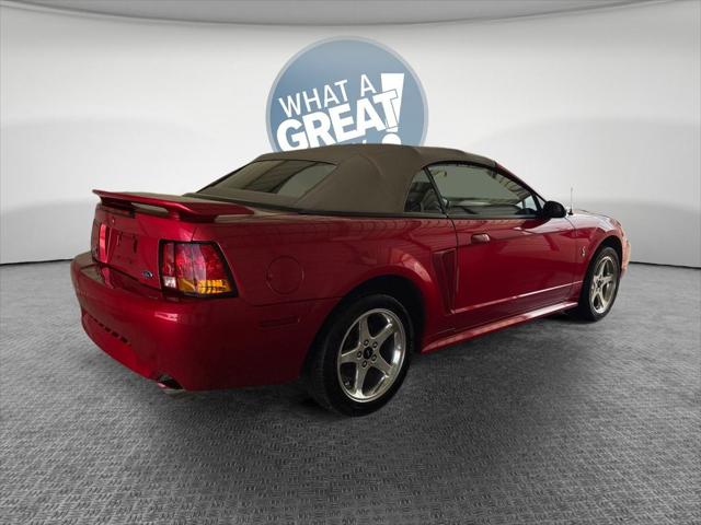 2001 Ford Mustang Cobra 2001 Ford Mustang Cobra