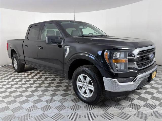 2023 Ford F-150 XLT for sale in Denver, CO
