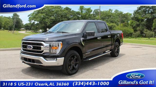 2023 Ford F-150 XLT for sale in Ozark, AL