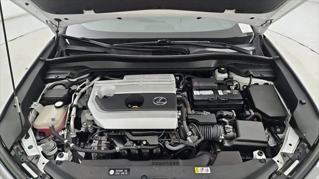 2019 Lexus UX 200 F SPORT