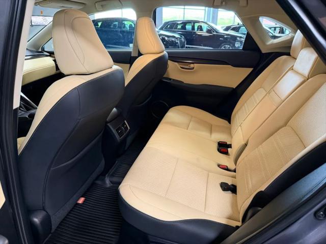 2021 Lexus NX 300h 300h