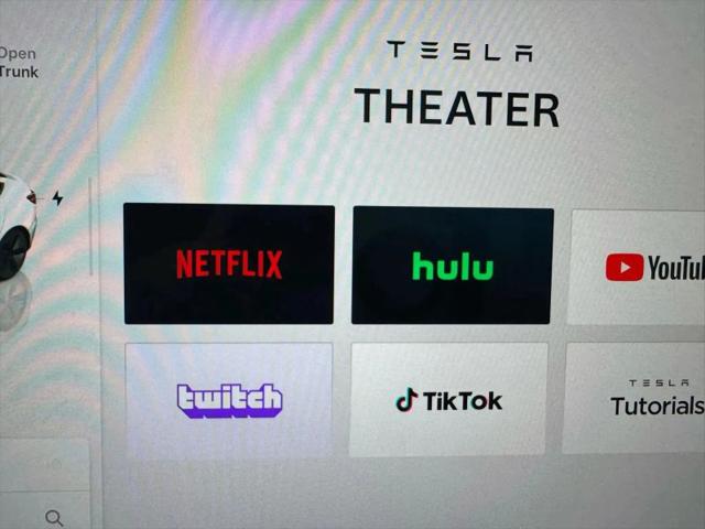 2023 Tesla Model 3 Rear-Wheel Drive