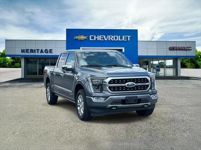 2023 Ford F-150 Platinum for sale in Lawrenceburg, TN