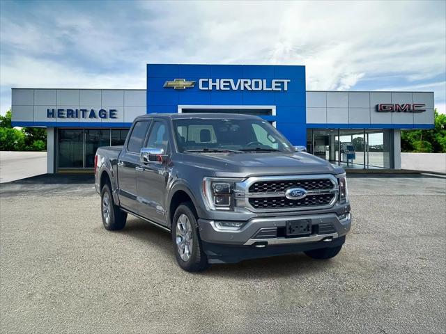 2023 Ford F-150 Platinum for sale in Lawrenceburg, TN