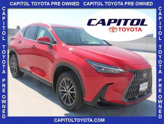 2025 Lexus NX Premium for sale in San Jose, CA