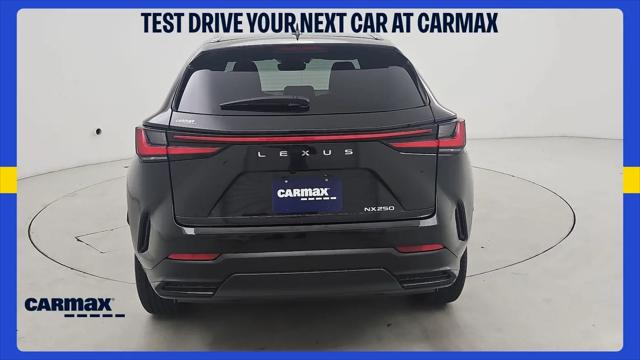 2024 Lexus NX Premium